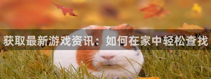 杜邦娱乐下载链接：获取最新游戏资讯：如何在家中轻松查找