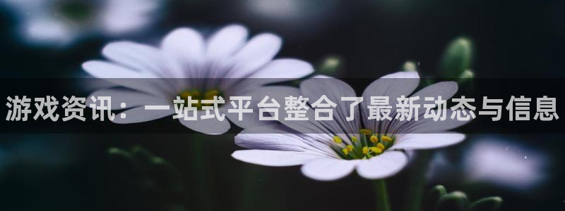 杜邦娱乐官方注册登录：游戏资讯：一站式平台整合了最新动态与信