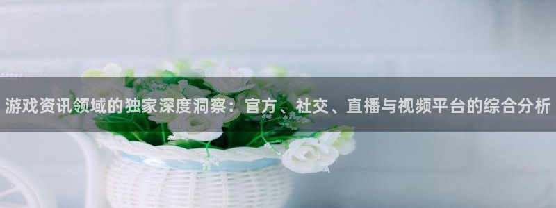 杜邦娱乐主管：游戏资讯领域的独家深度洞察：官方、社交、直播与