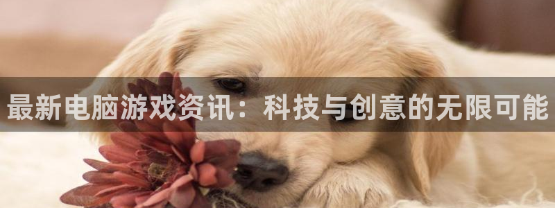 杜邦娱乐登录：最新电脑游戏资讯：科技与创意的无限可能