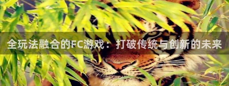 杜邦娱乐注册网站：全玩法融合的FC游戏：打破传统与创新的未来