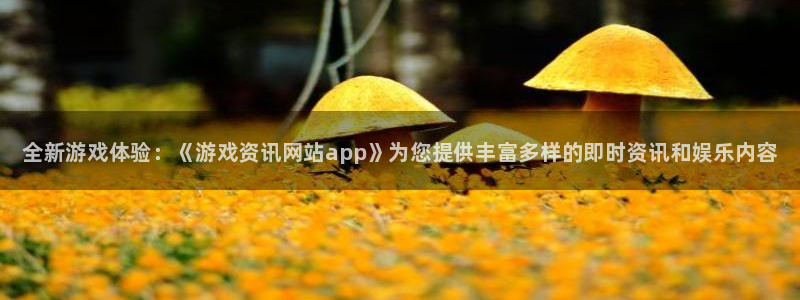 杜邦娱乐平台登录：全新游戏体验：《游戏资讯网站app》为您提