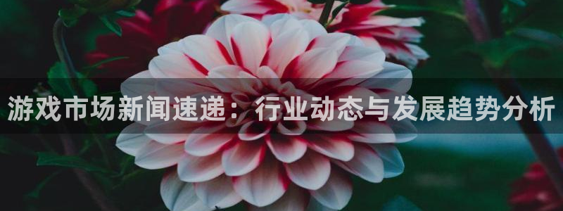 杜邦娱乐app下载|下载地址