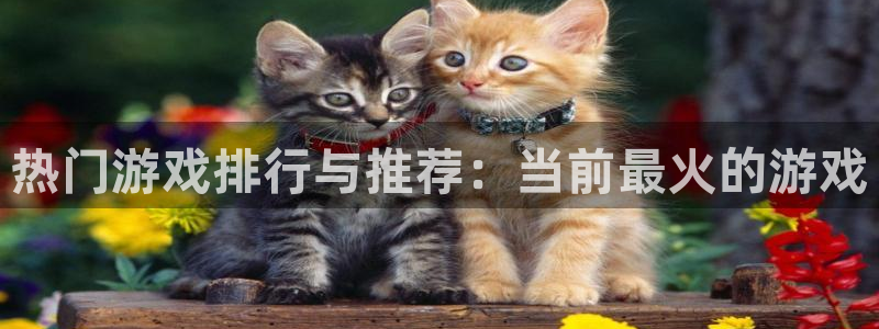 杜邦娱乐在线登录：热门游戏排行与推荐：当前最火的游戏