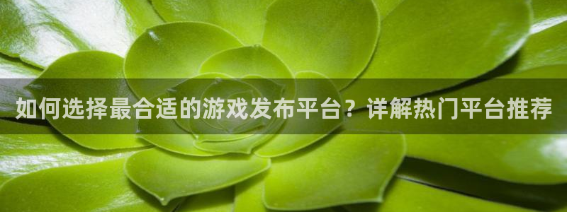 杜邦娱乐代理登陆：如何选择最合适的游戏发布平台？详解热门平台