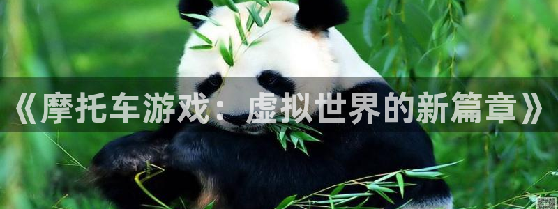 杜邦娱乐线路测试：《摩托车游戏：虚拟世界的新篇章》