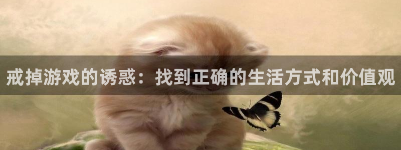 杜邦娱乐平台官方网站：戒掉游戏的诱惑：找到正确的生活方式和价