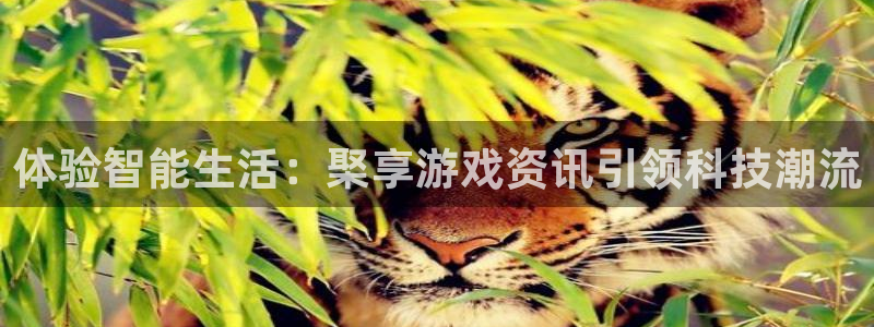 杜邦娱乐平台官网注册：体验智能生活：棸享游戏资讯引领科技潮流