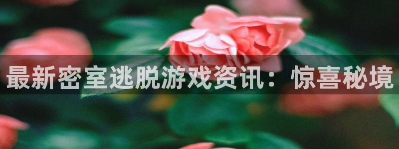 杜邦娱乐注册登录：最新密室逃脱游戏资讯：惊喜秘境
