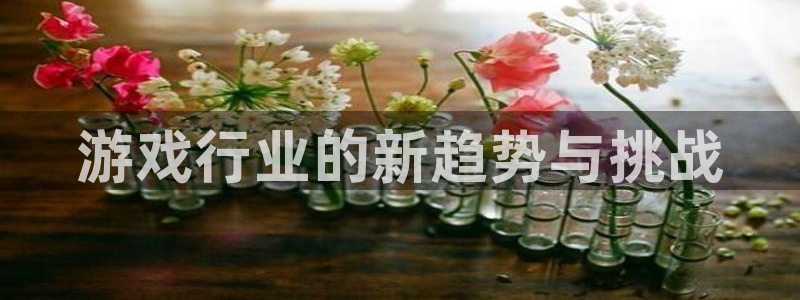 杜邦娱乐登陆地址：游戏行业的新趋势与挑战