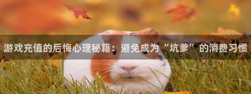 杜邦娱乐手机网页版登录：游戏充值的后悔心理秘籍：避免成为“坑