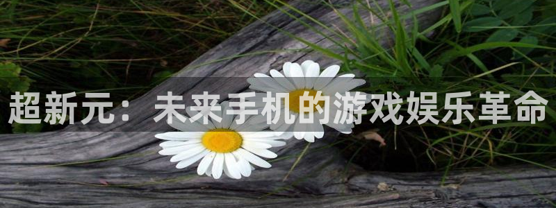 杜邦娱乐官网登录：超新元：未来手机的游戏娱乐革命