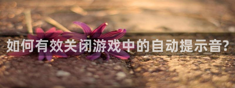 杜邦娱乐登录地址：如何有效关闭游戏中的自动提示音?