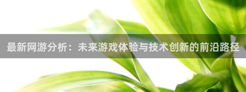 杜邦娱乐娱乐是真的吗：最新网游分析：未来游戏体验与技术创新的