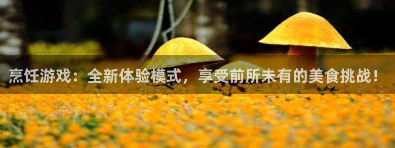 杜邦娱乐的意思：烹饪游戏：全新体验模式，享受前所未有的美食挑