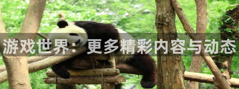 杜邦娱乐登陆地址